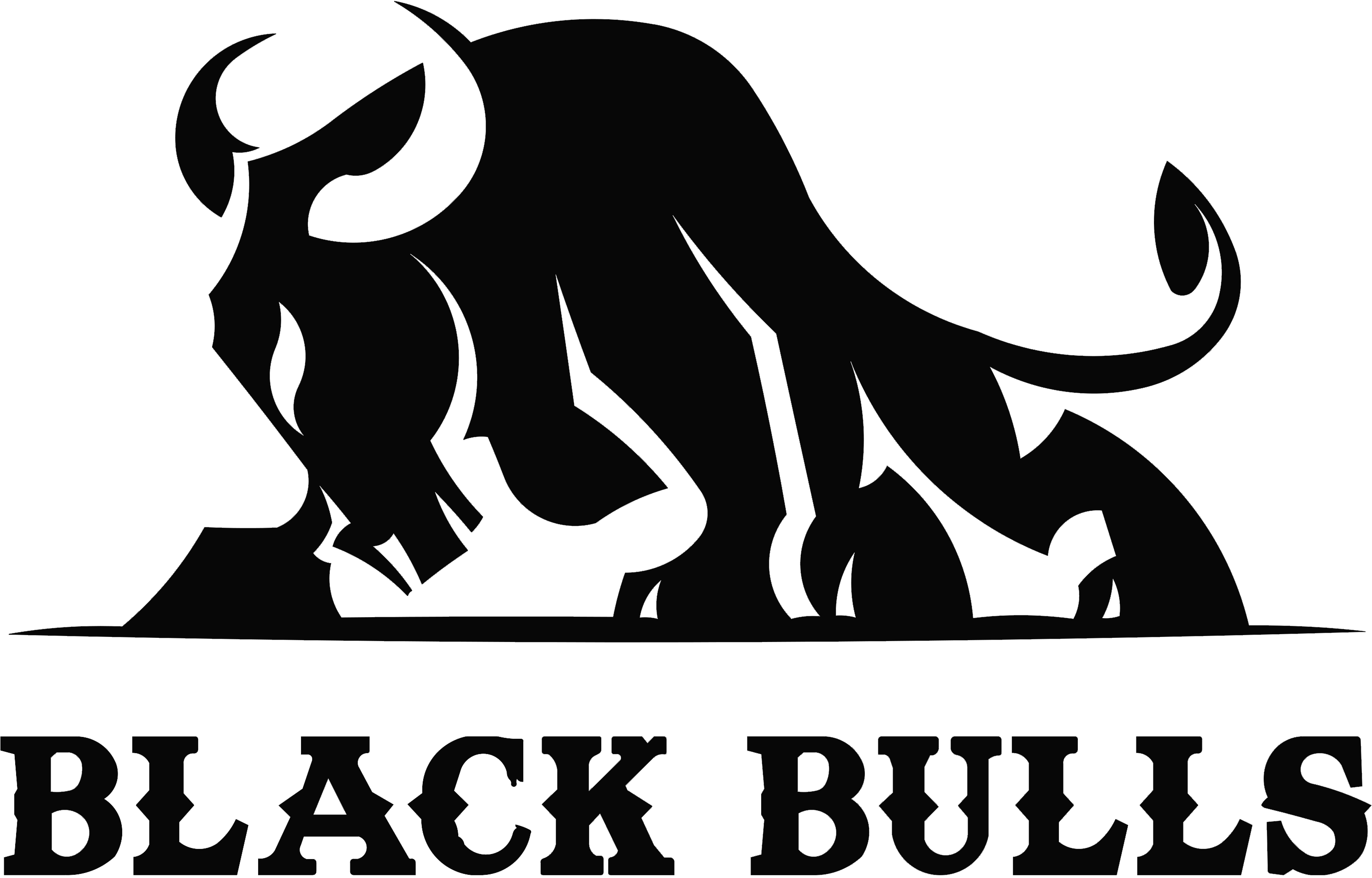 Black Bulls